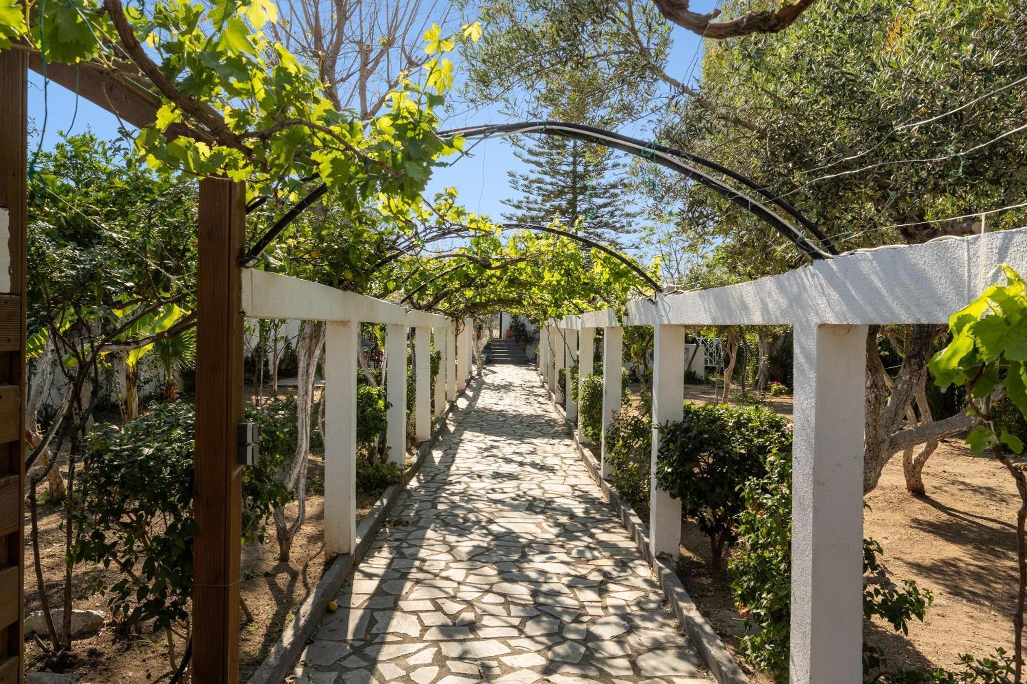 Ariadni Apartments Faliraki Exteriör bild
